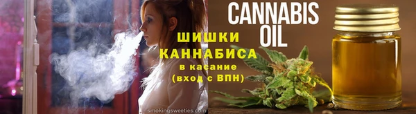 прущие крисы Горняк