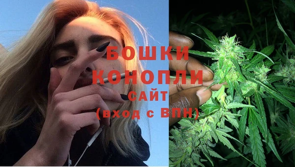 прущие крисы Горняк