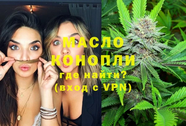 дмт Горнозаводск