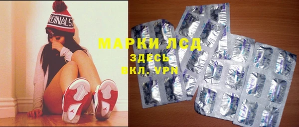 мяу мяу мука Гусь-Хрустальный
