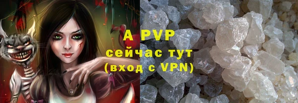 прущие крисы Горняк
